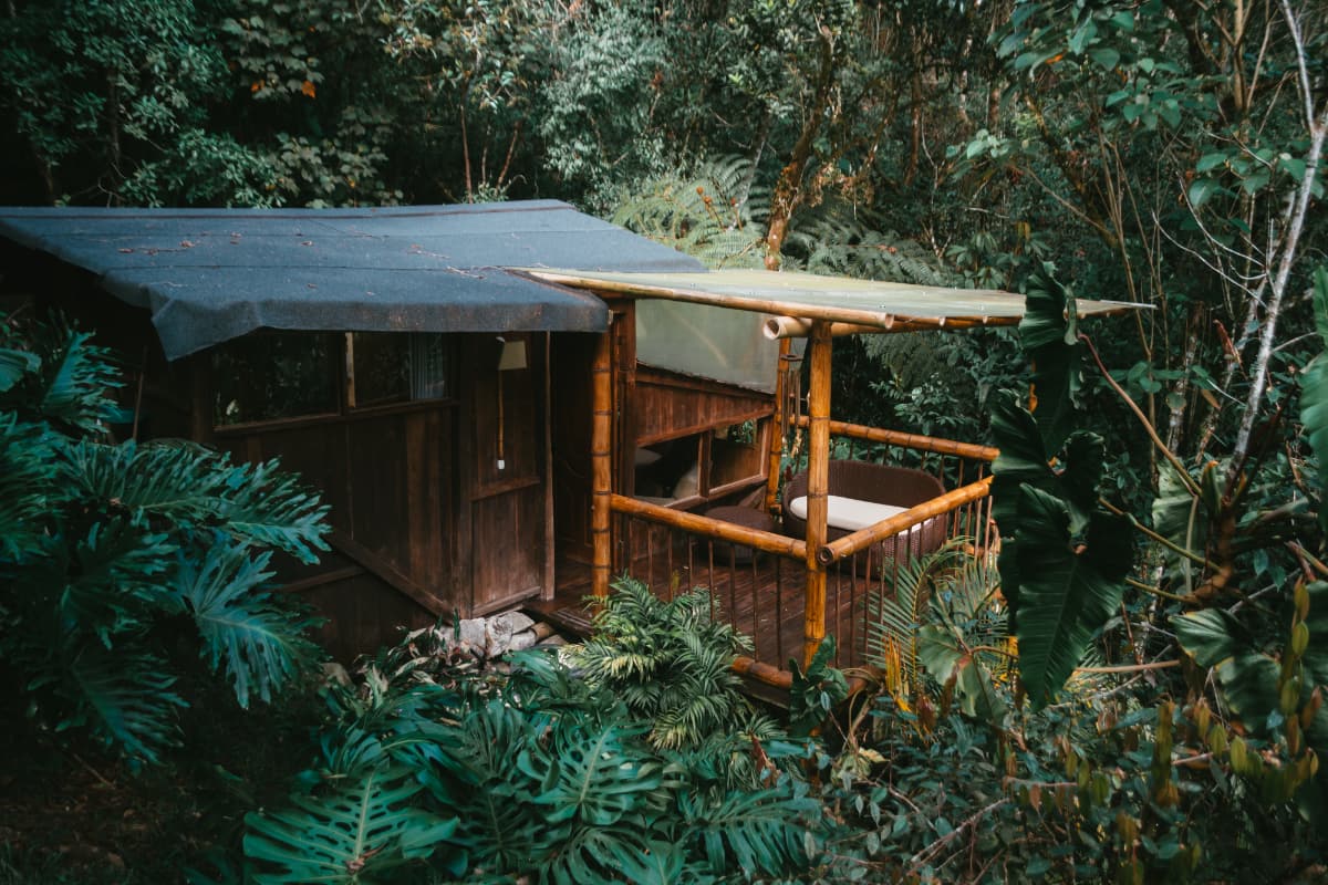 Forest sanctuary at Pradisi