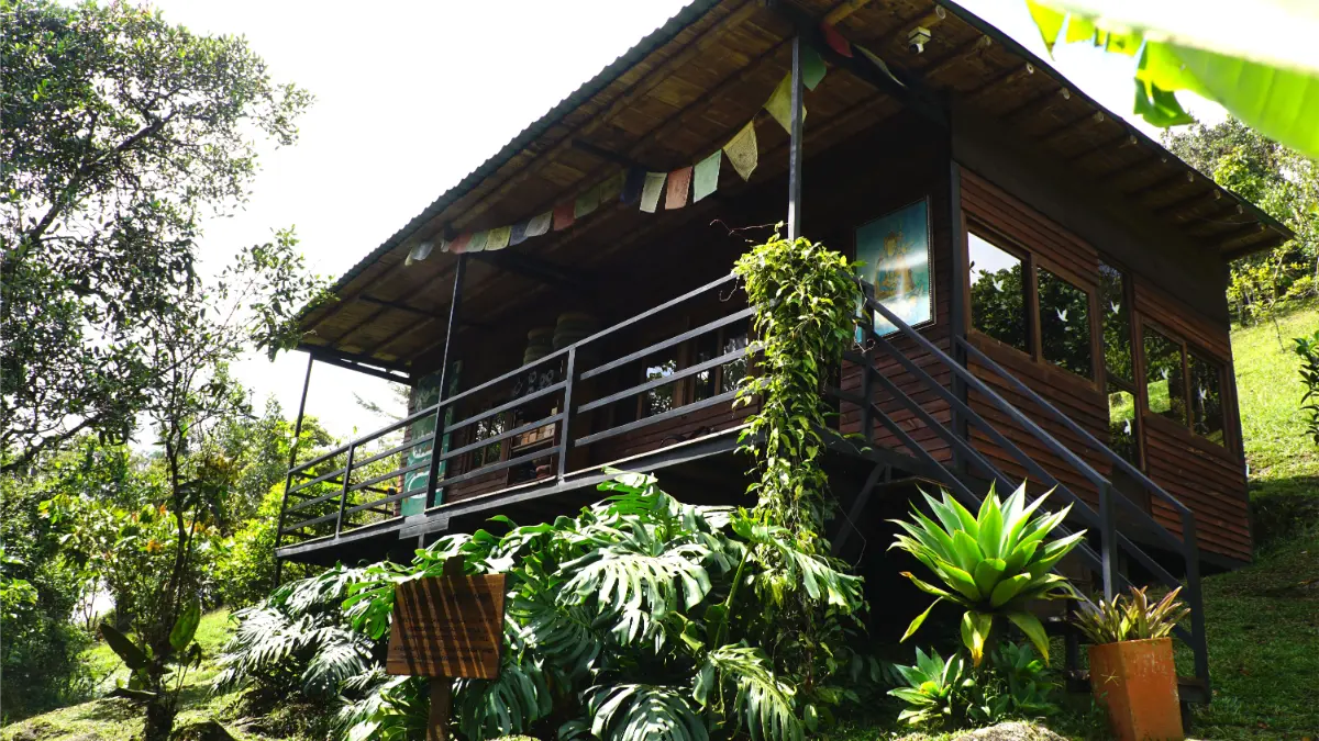 Forest sanctuary at Pradisi