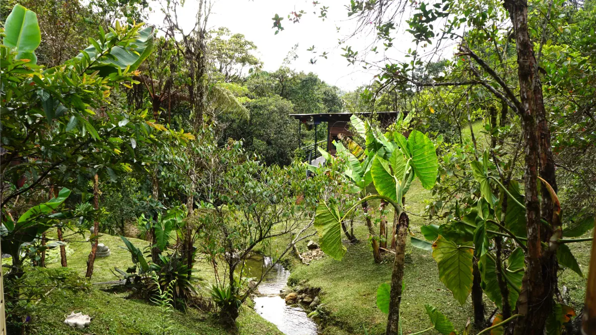 Mountainside pathways