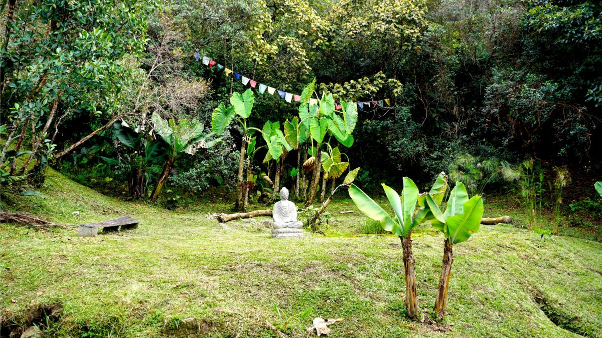 7-Day Semi-Silent Clairvoyant Meditation Retreat for Clarity